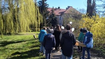 IMG_20250404_105909518