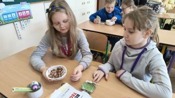 IMG_20250410_090900499