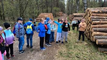 IMG_20250414_115955154