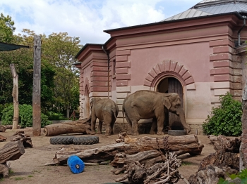 img20250516122421