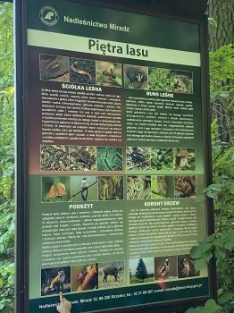 IMG_8332.jpeg