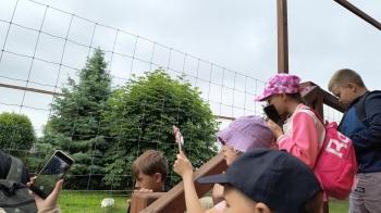 IMG_20250616_104433457