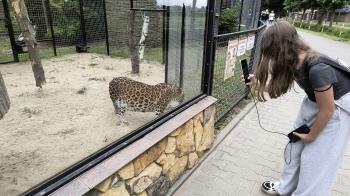 IMG_20250616_113941227