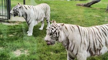 IMG_20250616_114513995_HDR