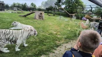 IMG_20250616_114644267_HDR