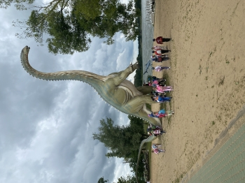 IMG_9250.jpeg