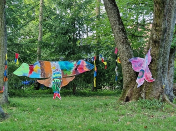 9268af0a-8a1e-4354-8486-ccaec70d0a10