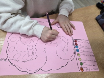 inbound3010767258912086019