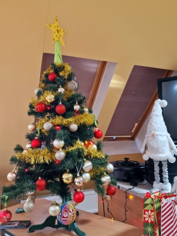 0e6d3880-2ec2-4a0b-a282-9fb406661893