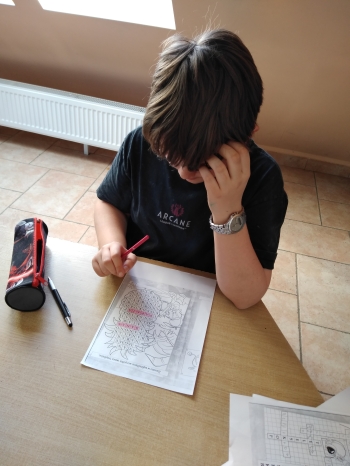 IMG_20260313_111634480