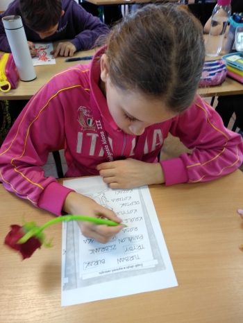 IMG_20260313_111745128