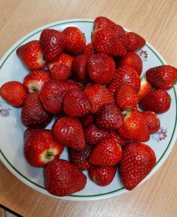 8507709d-77fc-49e6-8962-02415b6261bf