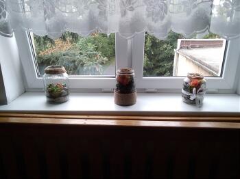 IMG_20201030_102955