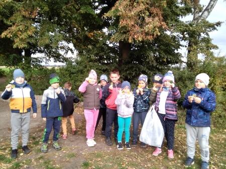 W poszukiwaniu jesieni. Uczymy się rozpoznawać drzewa. 