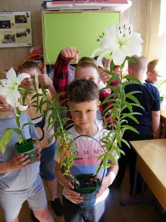 Nasze sukcesy przyrodnicze- hodowla roślin