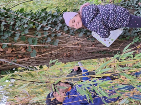 Jesienne obserwacje przyrodnicze